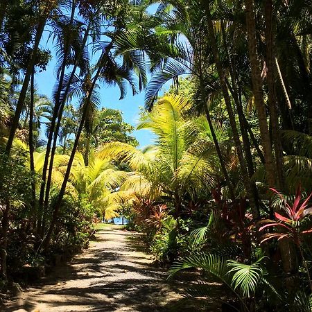 Sandy Bay Casa Mariaヴィラ エクステリア 写真