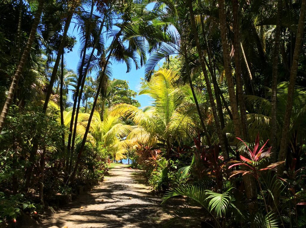 Sandy Bay Casa Mariaヴィラ エクステリア 写真